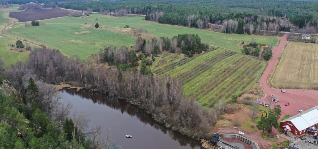 Bild av Liten äppelodling och lite ängsmark passande som bostadstomt.